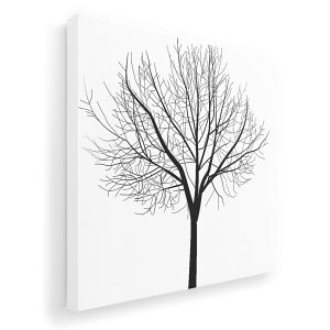 A[gpl G G  IׂTCY 455×455mm  XNGA _  ʐ^ tHg CeA  009179 mN@A@i