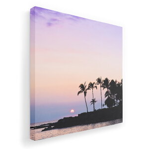 A[gpl G G  IׂTCY 455×455mm  XNGA _  ʐ^ tHg CeA  009393 i@iF@ʐ^