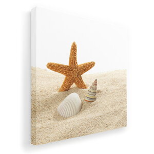 A[gpl G G  IׂTCY 455×455mm  XNGA _  ʐ^ tHg CeA  009536 Lk@C@ʐ^