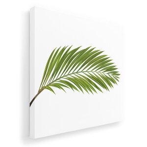 A[gpl G G  IׂTCY 455×455mm  XNGA _  ʐ^ tHg CeA  009572 A@Vv@