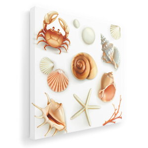 A[gpl G G  IׂTCY 333×333mm  XNGA _  ʐ^ tHg CeA  009662 Lk@C@l