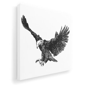 A[gpl G G  IׂTCY 455×455mm  XNGA _  ʐ^ tHg CeA  009728 @a@a