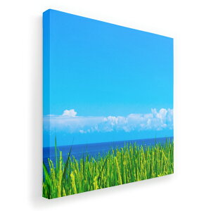 A[gpl G G  IׂTCY 333×333mm  XNGA _  ʐ^ tHg CeA  009748 i@@C@ʐ^