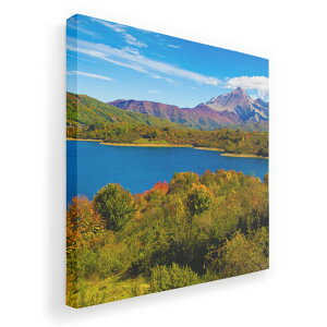 A[gpl G G  IׂTCY 455×455mm  XNGA _  ʐ^ tHg CeA  009833 i@iF@ʐ^