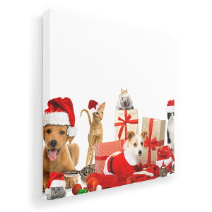 A[gpl G G  IׂTCY 455×455mm  XNGA _  ʐ^ tHg CeA  009931 NX}X@@@L