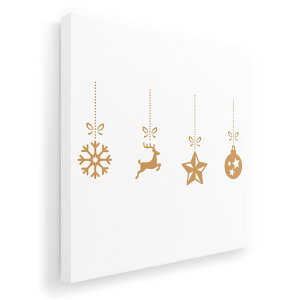 A[gpl G G  IׂTCY 455×455mm  XNGA _  ʐ^ tHg CeA  009967 NX}X@@