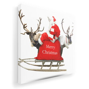 A[gpl G G  IׂTCY 333×333mm  XNGA _  ʐ^ tHg CeA  009971 NX}X@T^@ʐ^