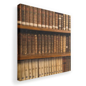 A[gpl G G  IׂTCY 455×455mm  XNGA _  ʐ^ tHg CeA  010025 {I@g@ʐ^