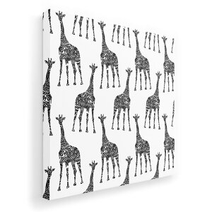 A[gpl G G  IׂTCY 455×455mm  XNGA _  ʐ^ tHg CeA  010519 L@@͗l