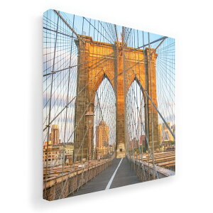 A[gpl G G  IׂTCY 455×455mm  XNGA _  ʐ^ tHg CeA  010803 O@i@ʐ^