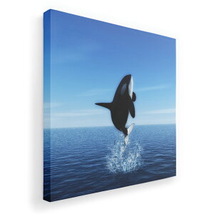 A[gpl G G  IׂTCY 333×333mm  XNGA _  ʐ^ tHg CeA  010806 V`@@C