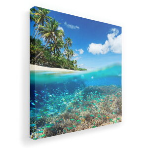 A[gpl G G  IׂTCY 455×455mm  XNGA _  ʐ^ tHg CeA  010843 C@l@ʐ^