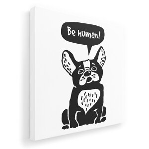 A[gpl G G  IׂTCY 455×455mm  XNGA _  ʐ^ tHg CeA  010972 @LN^[@p