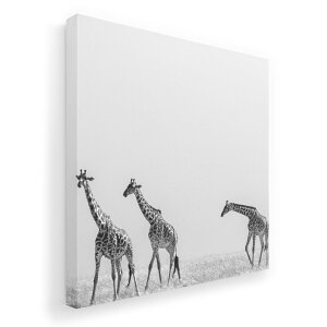 A[gpl G G  IׂTCY 333×333mm  XNGA _  ʐ^ tHg CeA  011004 @Tt@@