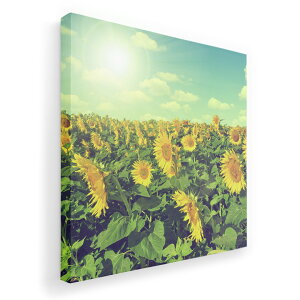 A[gpl G G  IׂTCY 455×455mm  XNGA _  ʐ^ tHg CeA  011053 ԁ@Ђ܂@
