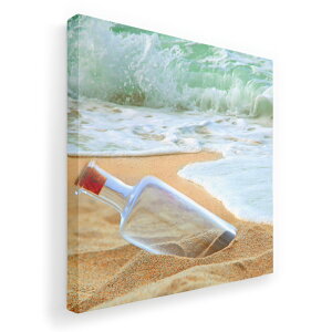 A[gpl G G  IׂTCY 455×455mm  XNGA _  ʐ^ tHg CeA  011091 C@r[`@ʐ^