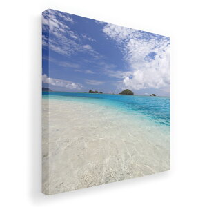 A[gpl G G  IׂTCY 455×455mm  XNGA _  ʐ^ tHg CeA  011230 C@r[`@][g