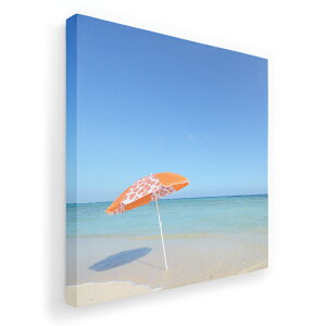 A[gpl G G  IׂTCY 455×455mm  XNGA _  ʐ^ tHg CeA  011235 C@r[`@][g