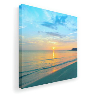 A[gpl G G  IׂTCY 455×455mm  XNGA _  ʐ^ tHg CeA  011256 C@r[`@[