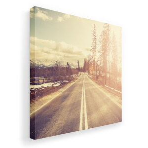 A[gpl G G  IׂTCY 333×333mm  XNGA _  ʐ^ tHg CeA  011287 ʐ^@i@