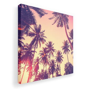 A[gpl G G  IׂTCY 455×455mm  XNGA _  ʐ^ tHg CeA  011308 ā@V̖؁@[