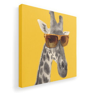 A[gpl G G  IׂTCY 455×455mm  XNGA _  ʐ^ tHg CeA  011555 L@@TOX