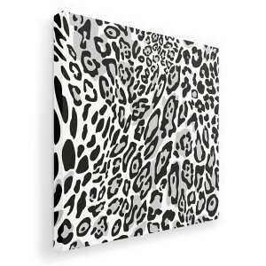 A[gpl G G  IׂTCY 455×455mm  XNGA _  ʐ^ tHg CeA  011584 qE@Aj}@