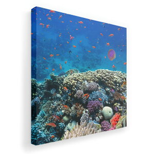 A[gpl G G  IׂTCY 333×333mm  XNGA _  ʐ^ tHg CeA  011697 C@X@ʐ^