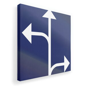 A[gpl G G  IׂTCY 455×455mm  XNGA _  ʐ^ tHg CeA  011814 W@]ԁ@H