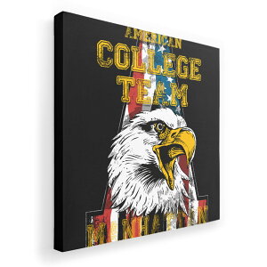 A[gpl G G  IׂTCY 333×333mm  XNGA _  ʐ^ tHg CeA  012353 p@@