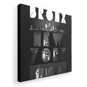 A[gpl G G  IׂTCY 455×455mm  XNGA _  ʐ^ tHg CeA  012381 j[[N@@