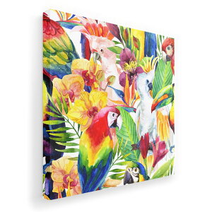 A[gpl G G  IׂTCY 455×455mm  XNGA _  ʐ^ tHg CeA  012543 @Jt@썑