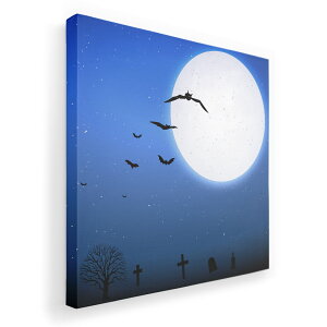 A[gpl G G  IׂTCY 455×455mm  XNGA _  ʐ^ tHg CeA  012732 nEB@@RE