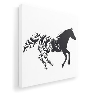 A[gpl G G  IׂTCY 455×455mm  XNGA _  ʐ^ tHg CeA  013313 n@VGbg@