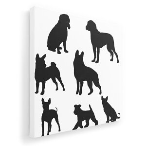 A[gpl G G  IׂTCY 333×333mm  XNGA _  ʐ^ tHg CeA  013551 @e@VGbg