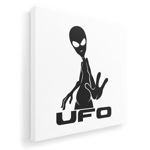 �A�[�g�p�l�� �G �G�� ���� �I�ׂ�T�C�Y 455×455mm ���� �X�N�G�A ���_�� ���� �ʐ^ �t�H�g �C���e���A ������� 013624 �F���l�@UFO�@�G�C���A��