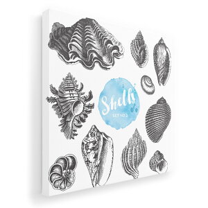 A[gpl G G  IׂTCY 333×333mm  XNGA _  ʐ^ tHg CeA  013757 ā@C@Lk