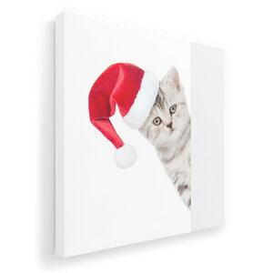 アートパネル 絵 絵画 飾り 選べるサイズ 333×333mm 正方 スクエア モダン 玄関 写真 フォト インテリア おしゃれ 013836 クリスマス 猫 動物