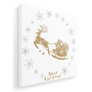 A[gpl G G  IׂTCY 333×333mm  XNGA _  ʐ^ tHg CeA  013847 NX}X@T^@VGbg