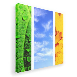 A[gpl G G  IׂTCY 333×333mm  XNGA _  ʐ^ tHg CeA  014084 ā@Ђ܂@