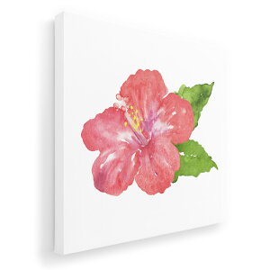 A[gpl G G  IׂTCY 455×455mm  XNGA _  ʐ^ tHg CeA  014288 nCrXJX@gsJ