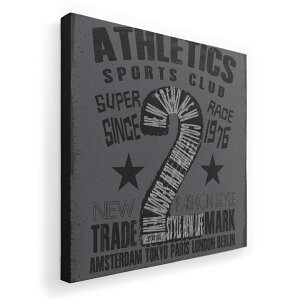 A[gpl G G  IׂTCY 455×455mm  XNGA _  ʐ^ tHg CeA  014395 @@S