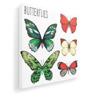 �A�[�g�p�l�� �G �G�� ���� �I�ׂ�T�C�Y 333×333mm ���� �X�N�G�A ���_�� ���� �ʐ^ �t�H�g �C���e���A ������� 014427 ���@�J���t��