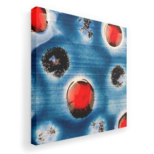 A[gpl G G  IׂTCY 333×333mm  XNGA _  ʐ^ tHg CeA  014432 ͗l@j[N