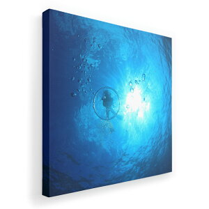 A[gpl G G  IׂTCY 455×455mm  XNGA _  ʐ^ tHg CeA  014458 C@_CrO