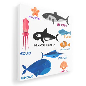 A[gpl G G  IׂTCY 455×455mm  XNGA _  ʐ^ tHg CeA  014505 C@@Lk