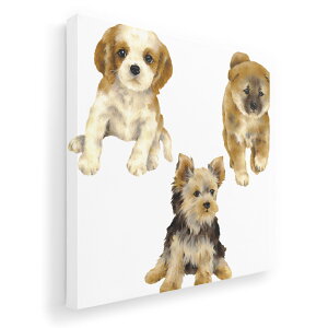 A[gpl G G  IׂTCY 333×333mm  XNGA _  ʐ^ tHg CeA  014619 @@Aj}