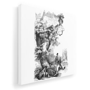 A[gpl G G  IׂTCY 455×455mm  XNGA _  ʐ^ tHg CeA  014731 g@i@CXg