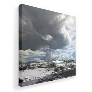 A[gpl G G  IׂTCY 333×333mm  XNGA _  ʐ^ tHg CeA  014982 R@iF@i@R@