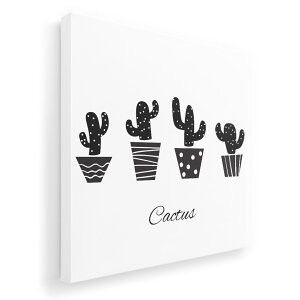 A[gpl G G  IׂTCY 455×455mm  XNGA _  ʐ^ tHg CeA  015713 ؁@A@mN@T{e